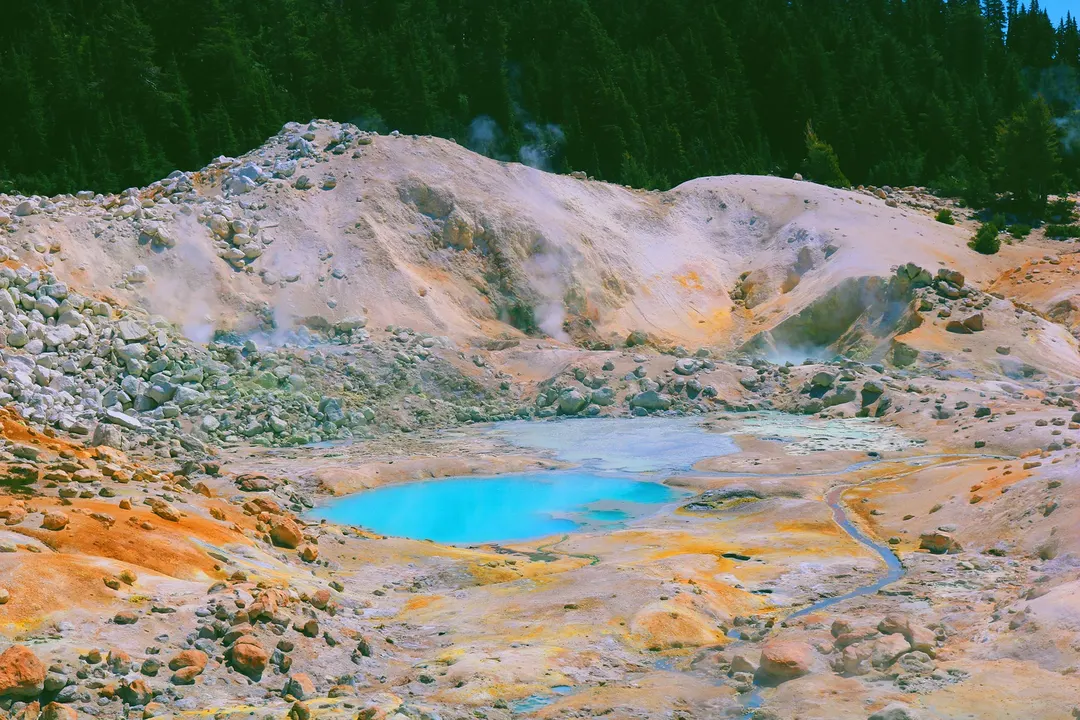 Найдена амёба, растущая при 63 °C — рекорд для эукариот