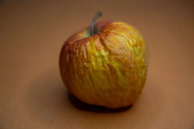Незавершённую ОС Apple Copland запустили в браузере