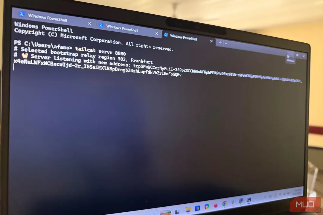 Tailscale выпустила Tailcat для связи двух ПК без публичного IP