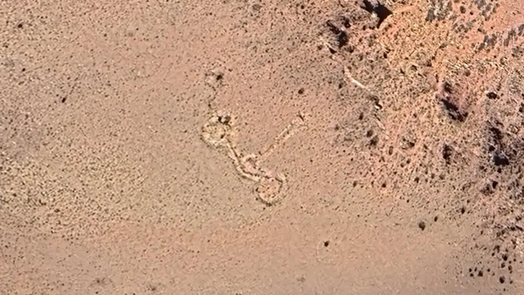 В Андах через Google Earth нашли гигантские каменные круги
