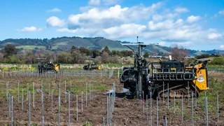Planted привлекла $31,8 млн на роботизированные солнечные фермы