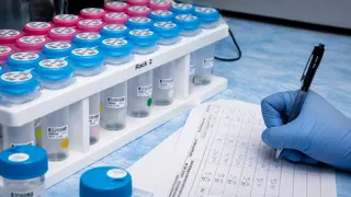 CAR-T-терапия вылечила рак печени у трёхлетнего ребёнка за две инфузии