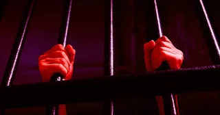Полиция США посадила невиновную женщину на 13 суток из-за камер Flock