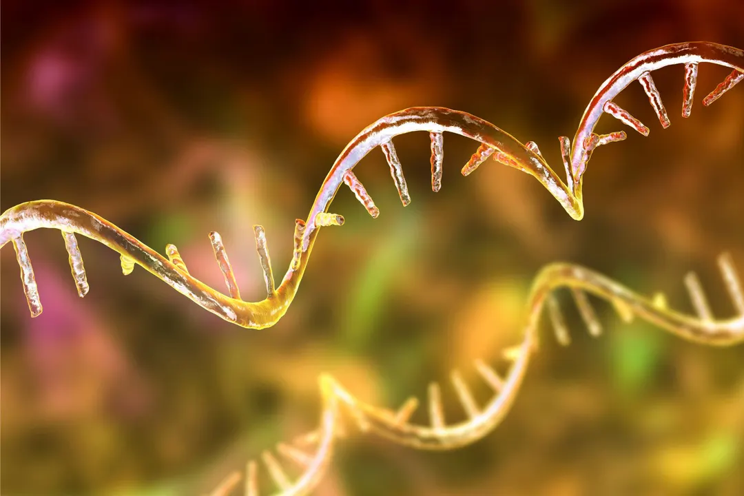 Инженерная tRNA восстановила белок при муковисцидозе