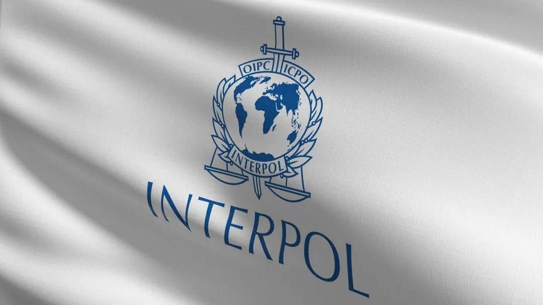 Interpol собрал базу лиц террористов и опознал 126 подозреваемых