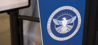 TSA запустила ИИ-агента Ace для ответов путешественникам