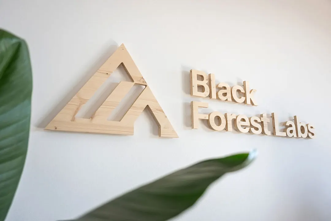 Black Forest Labs выпустила Flux 3 Image с JSON-боксами и сохранением пикселей