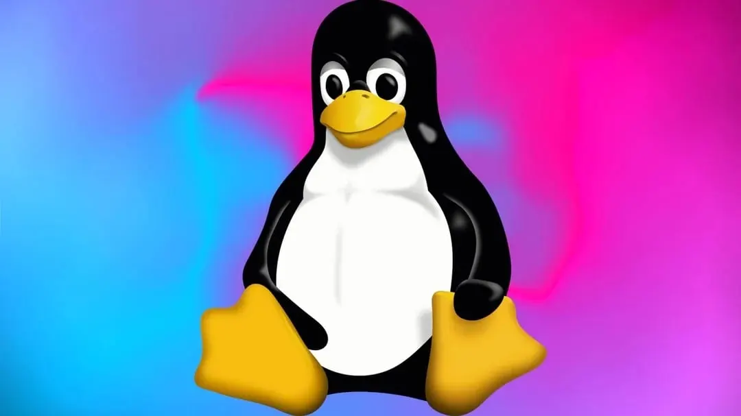 Нидерланды разрабатывают собственную Linux-ОС для госсектора