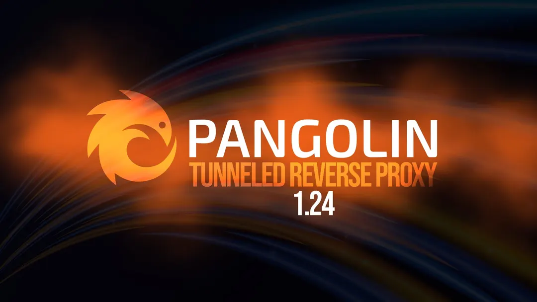 Pangolin 1.24 добавил Exit Nodes и маршрутизацию подсетей в Linux