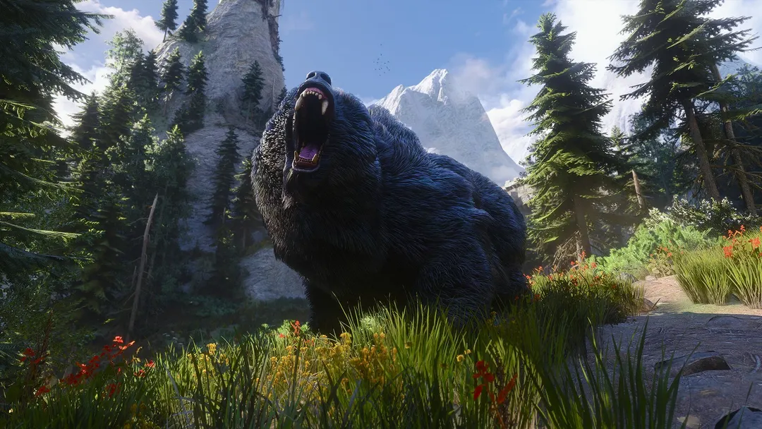 Исправление графики The Witcher 3 Remastered на Radeon пришло от AMD, а не от CD Projekt Red