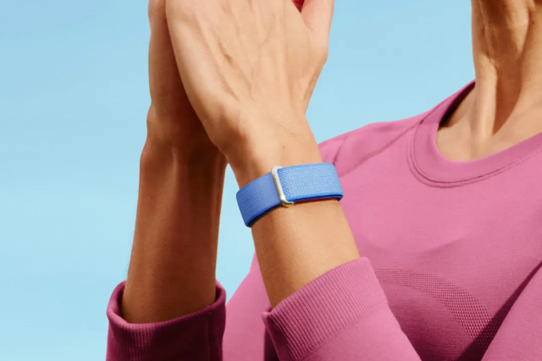 Утечка: Fitbit Edge — гибрид Fitbit Air и Pixel Watch 5 за $149–199