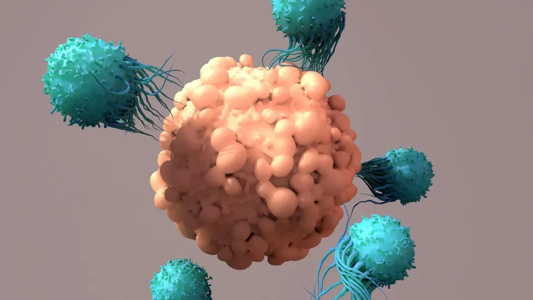 CRISPR перепрограммирует иммунные клетки прямо в теле для борьбы с раком