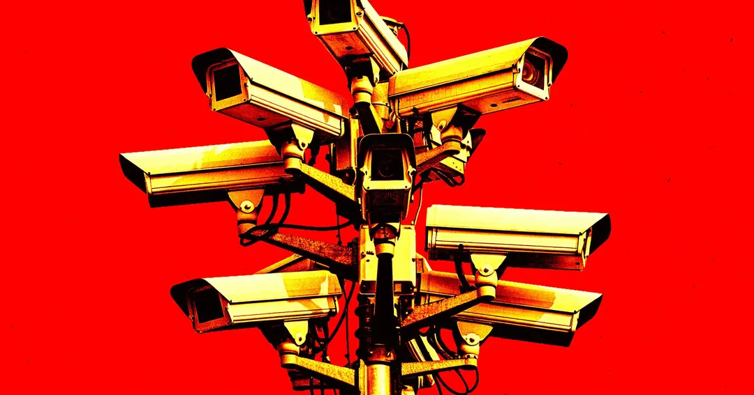 Эксперты: камеры Flock — лишь начало полицейской слежки в США