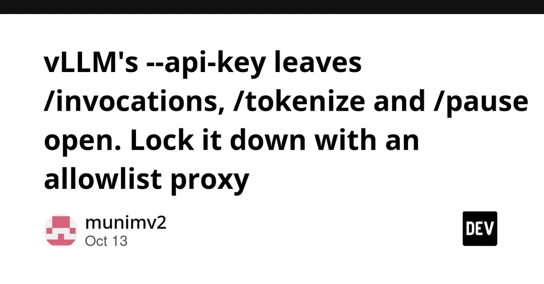 vLLM: --api-key не защищает /invocations, /tokenize и /pause