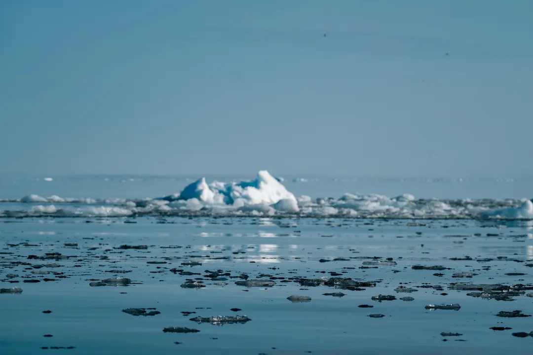 Вязкость морского снега определяет захват углерода океаном