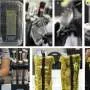 Растения меняют активность генов через минуты после старта в космос