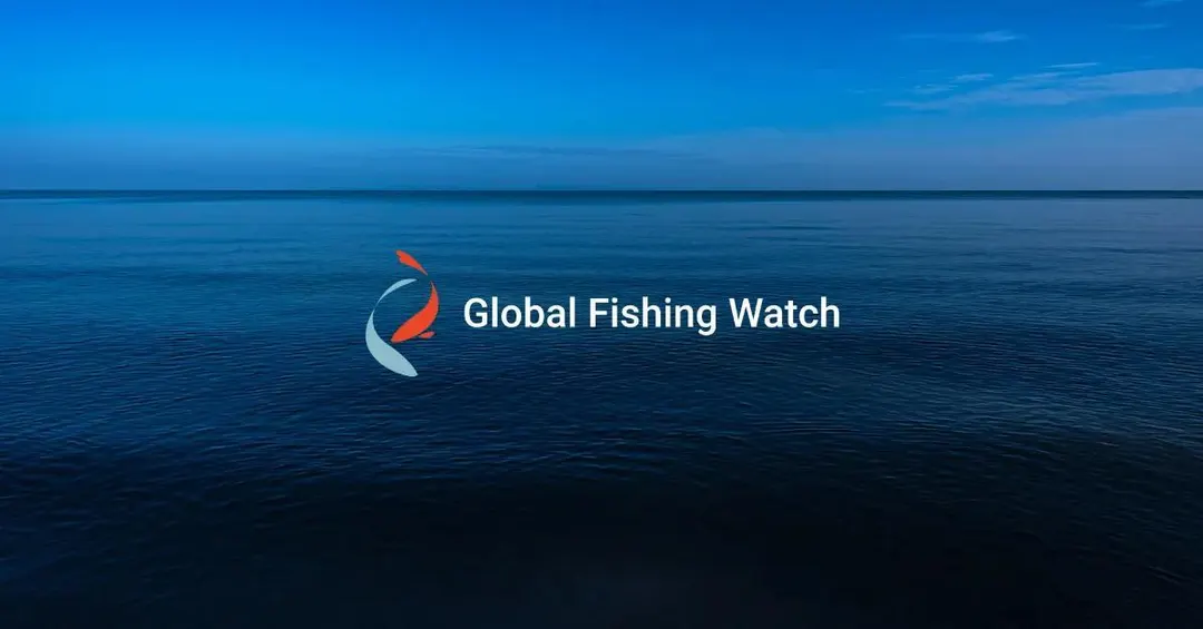 Global Fishing Watch обновила ИИ-модели мониторинга рыболовства