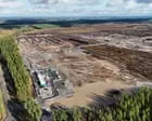 Google незаконно вырубил 250 000 деревьев под дата-центр в Финляндии