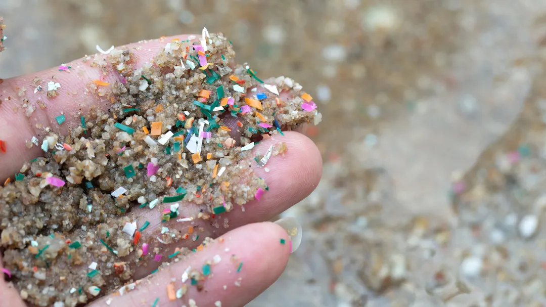 Школьница из Ирландии создала биоразлагаемый пластик Eco Purge, расщепляющий микропластик