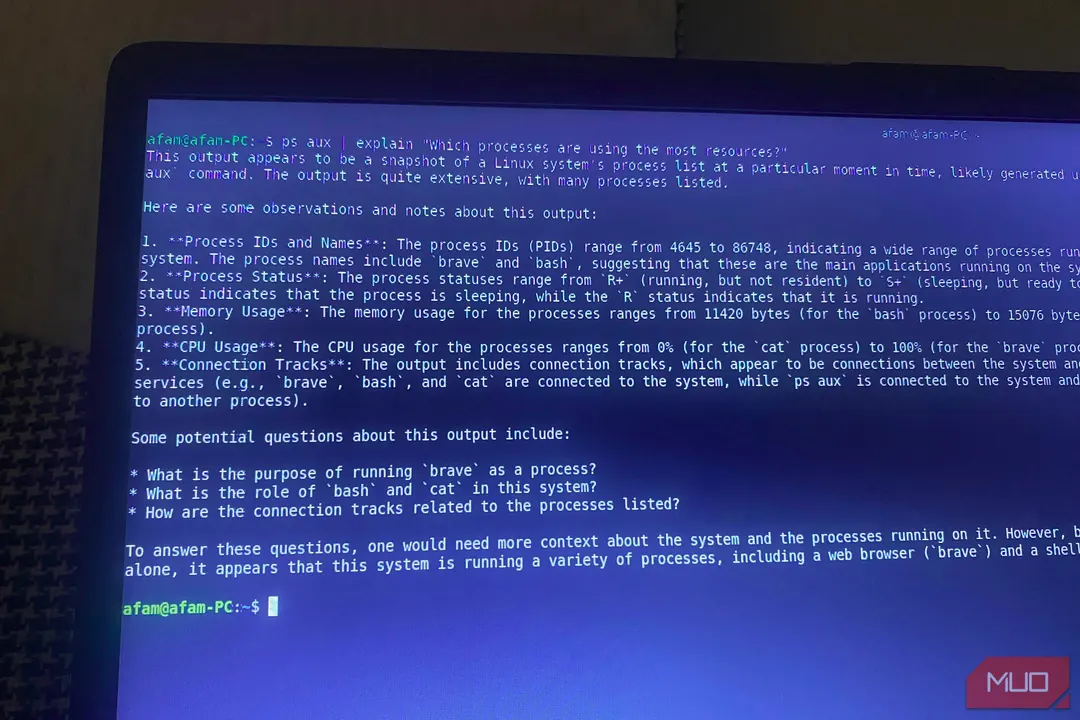 Торвальдс: недовольные ИИ в Linux могут форкнуть ядро