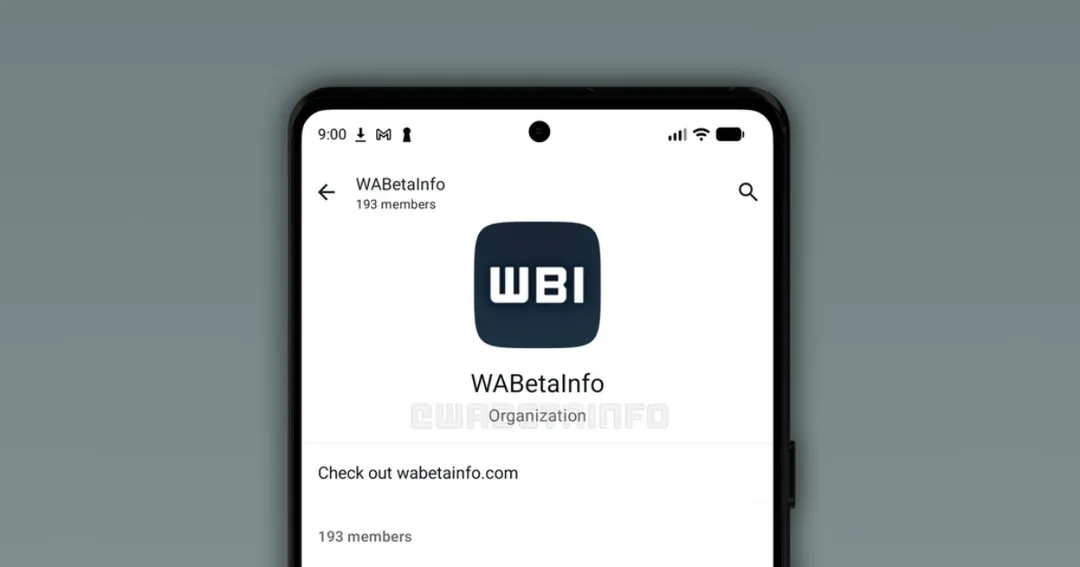 Meta тестирует функцию Organizations для управления большими сообществами WhatsApp