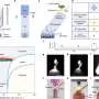 Китайские учёные вырастили 3D-печатью титановые монокристаллы длиной более метра