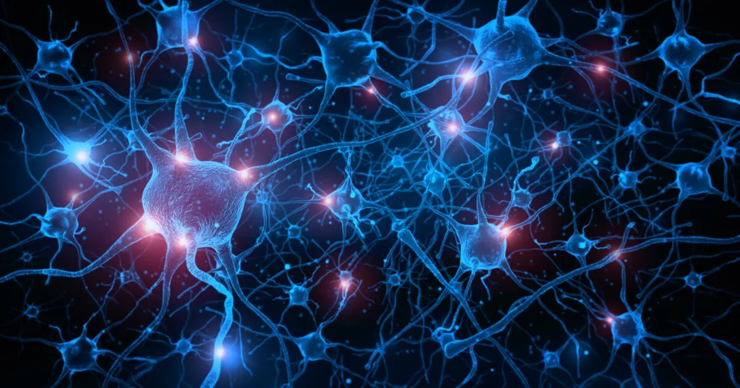 Cortical Labs объединила 15 биокомпьютеров CL1 в сеть HIVE