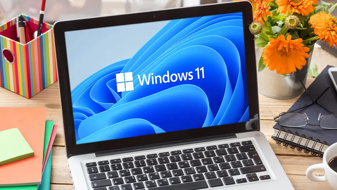 Windows 11 позволит отключить веб-результаты в поиске