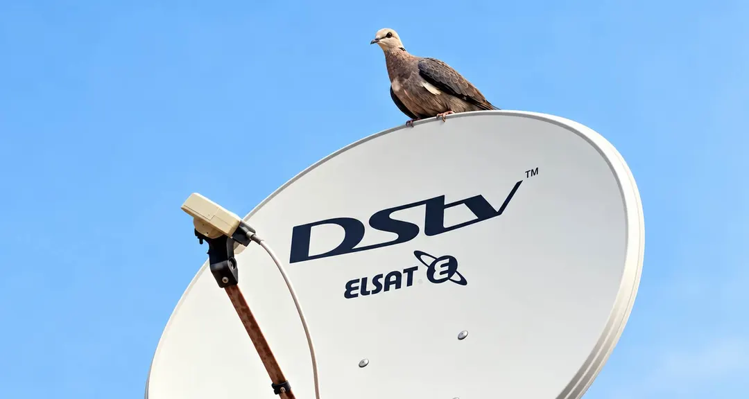 Canal+ снижает цены на пакеты DStv в Африке до 42%