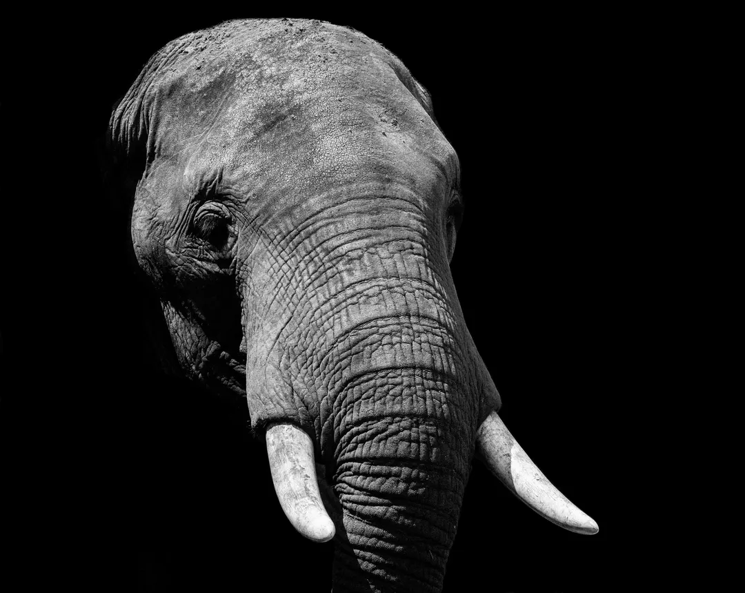 PHP2Shell останется в корпоративных сетях на годы